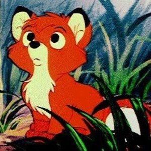 Meet your Posher, Riley